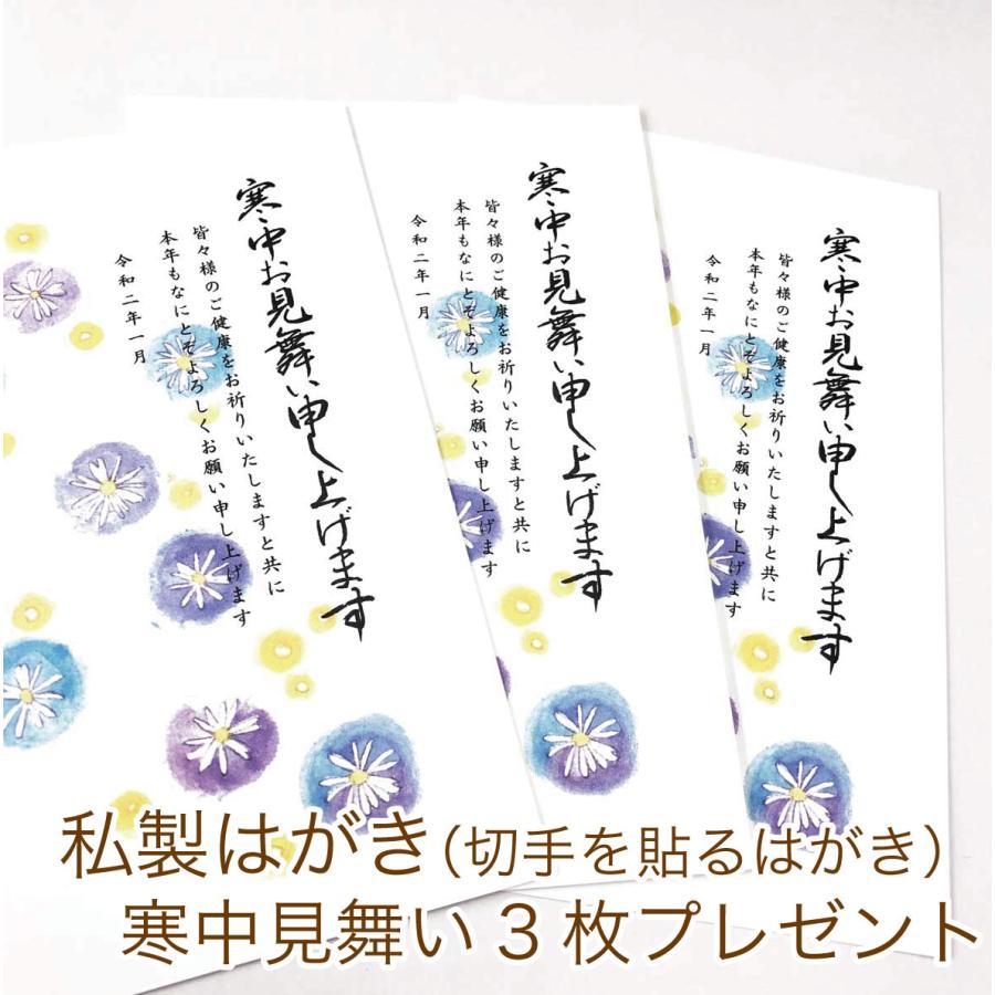 喪中はがき 喪中ハガキ印刷 （寒中見舞い付）20枚 切手はがき代込