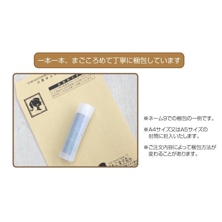 シヤチハタ 宅配ボックス シャチハタ ネーム9 受領 印鑑 はんこ CP
