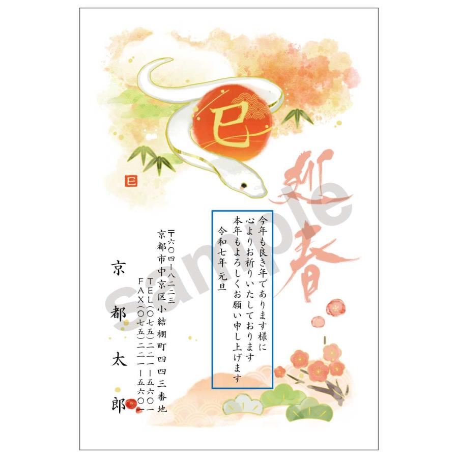 2025年 年賀はがき 100枚 nc006.gif