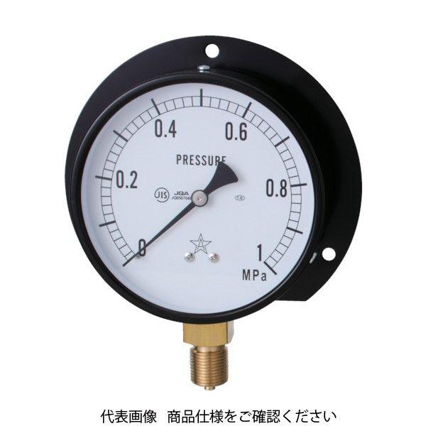 右下精器製造 右下 一般圧力計（B枠立型・φ75） 圧力レンジ0.0〜6.00MPa G321-211-V-6MP 1個 325-9927（直送品）