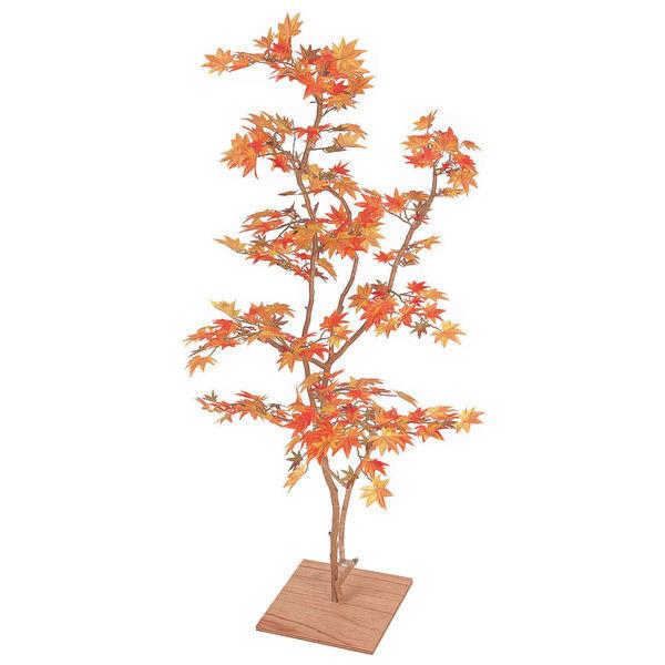 もみじ　植木 Amazon.co.jp: 『植木/庭木/苗木』紅葉(モミジ)鴫立沢（シギタツサワ