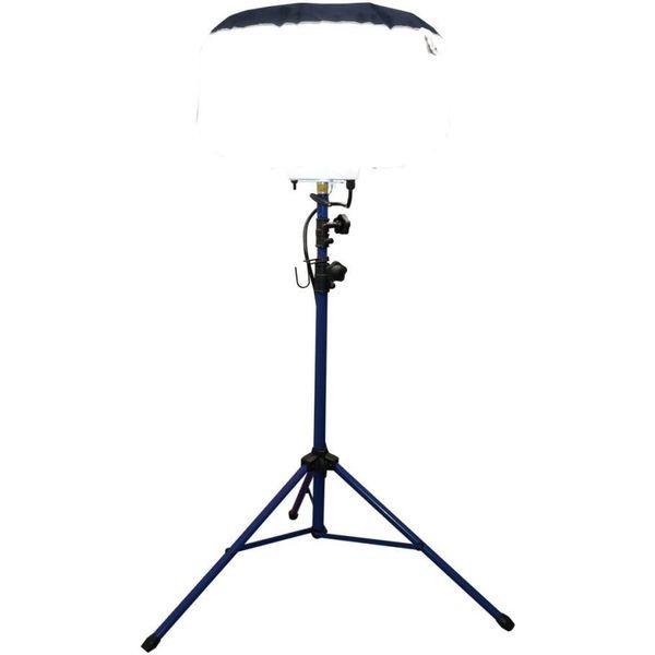 中国 唐代 藍釉俑 猫 珍品 I40-3中国 唐代 藍釉俑 猫 珍品 I40-3