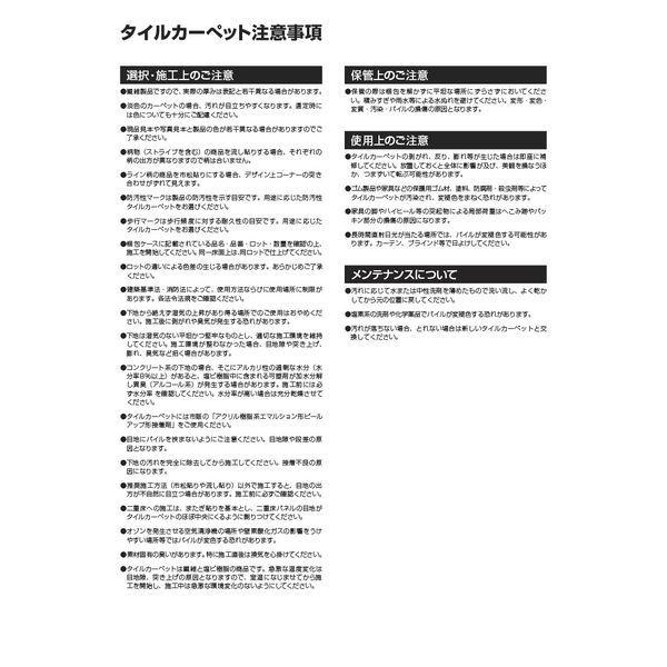 アイリスオーヤマ タイルカーペット 業務用 Nスクエア 500&times;500mm 1セット(20枚入) NS544-PZ 1ケース(20枚入)（直送品）