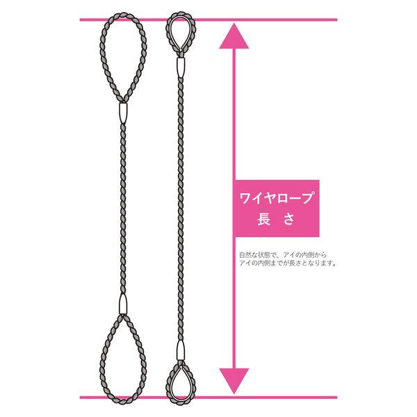 アイビッグ 玉掛ワイヤー(ダブルロープ 安全ひげなしテーパーロック Carrot) 両シンブル入 20mmx6M 70437 1本（直送品）
