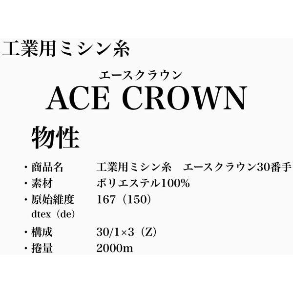 大貫繊維　工業用ミシン糸　エースクラウン#30/2000m　251番色　1セット（2000m巻×6本）（直送品） 【コア】