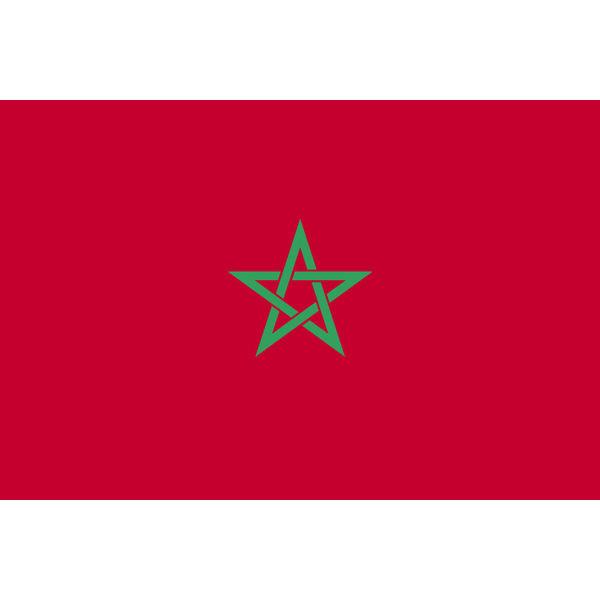 東京製旗 モロッコ国旗（卓上旗16×24ｃm) 406786 1枚 （直送品）