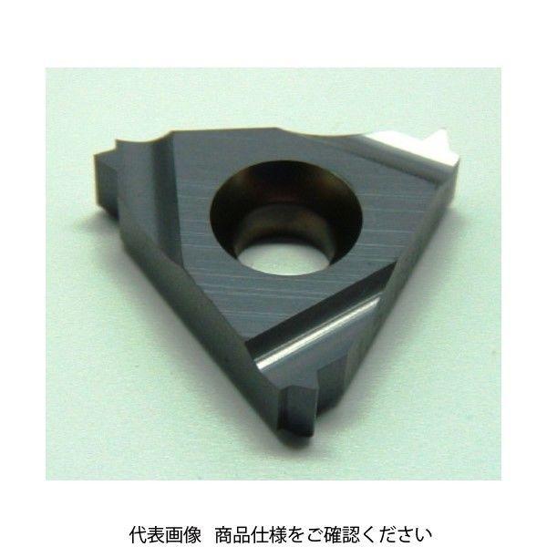 イスカル ねじ切りチップ IR/LーISO IC228 06IR 1.25 ISO 1セット(5個) 620-0052（直送品）