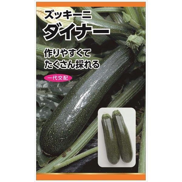 LOHACO - ニチノウのタネ 日本農産種苗 ダイナー（ズッキーニ