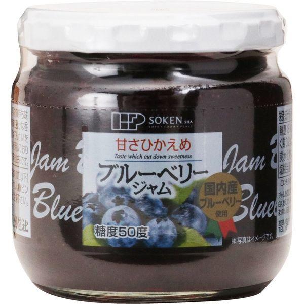 創健社 ブルーベリージャム 0g 1セット 0g 12 直送品 Renewableenergylouisville Org