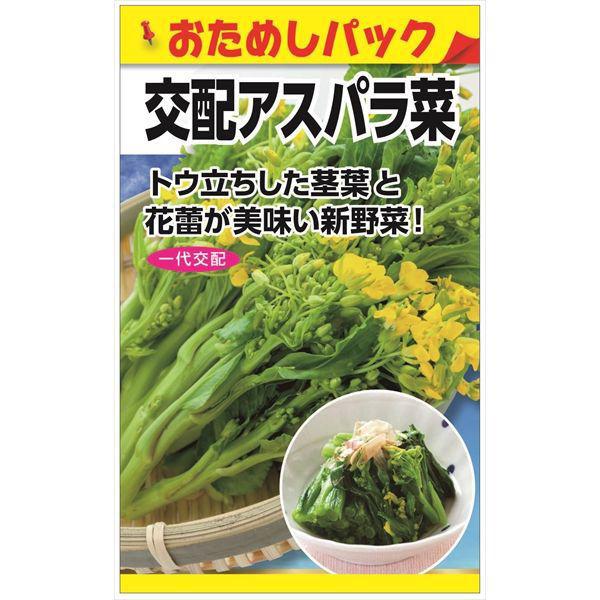 日本農産種苗 交配アスパラ菜（おためしパック） 4960599184603 5袋（直送品）