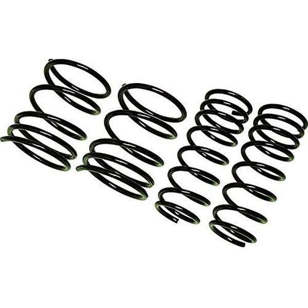 レーシングギア（RACING GEAR） ダウンスプリング 【LOWFORM REVOLUTION】 リーフ AZE0 SN038A（直送品）