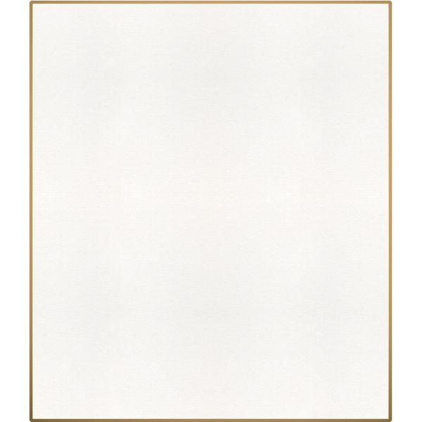 色紙 F10 画仙 1枚ポリ入 シ-481 1セット（20枚）（直送品） 【オダマキ】