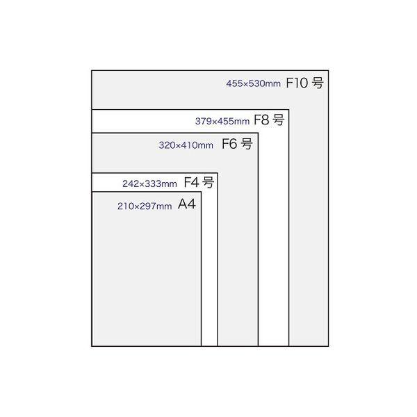 色紙 F10 画仙 1枚ポリ入 シ-481 1セット（20枚）（直送品） 【オダマキ】