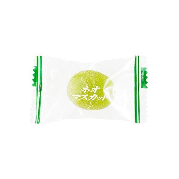 ニューエスト 500g大粒ネオマスカットゼリー 4946544054016 1箱（12袋入）（直送品）