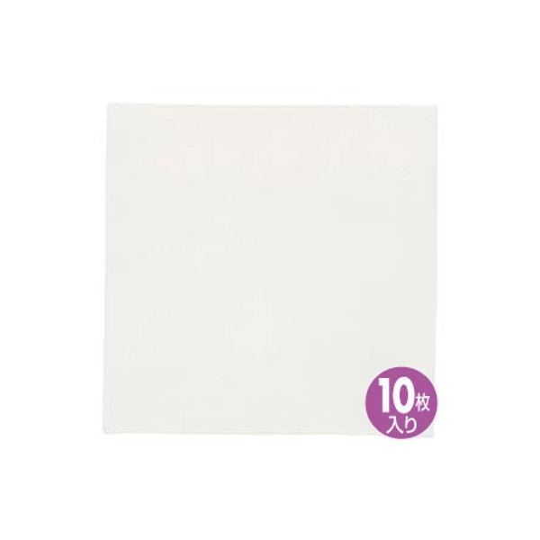 サンワサプライ 研磨紙0.5ミクロン ホワイト HKB-AC5-10（直送品）