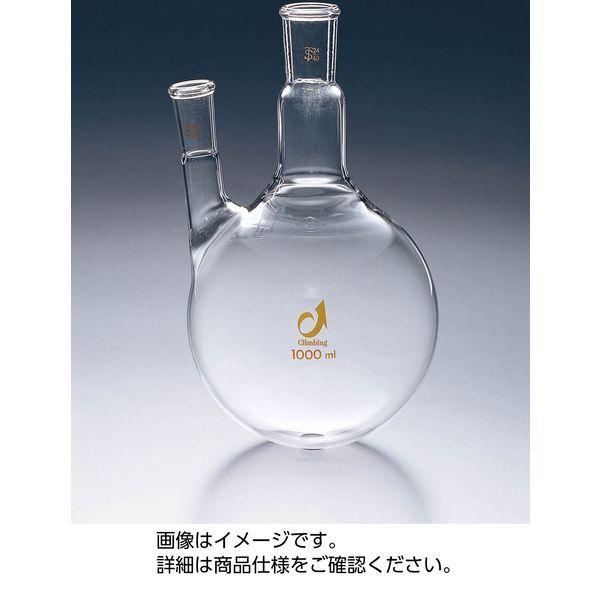 ケニス 共通摺合二口フラスコ 100mL 19/38 33460906（直送品）