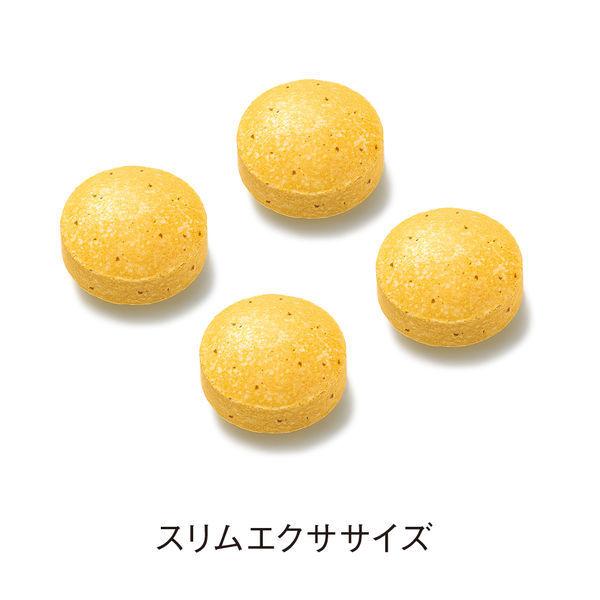 LOHACO - ORBIS（オルビス） スリムエクササイズ 30日分 1袋（120粒入