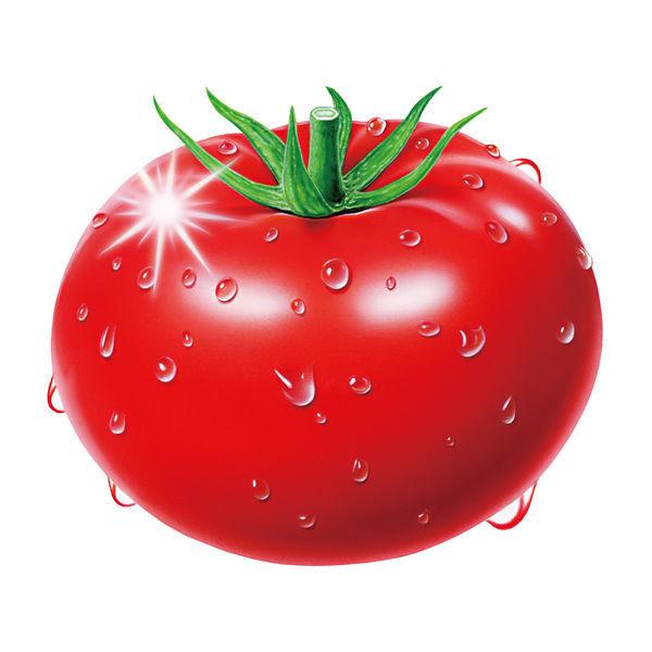 アサヒ飲料 バヤリースさらさら毎日おいしくトマト 350g 1セット（48缶）【野菜ジュース】