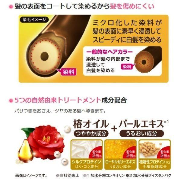 LOHACO - サロンドプロ ヘアマニキュア・スピーディ 白髪用 5A