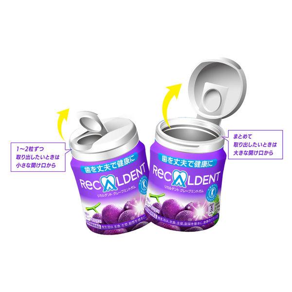 LOHACO - モンデリーズ リカルデントグレープミントガムボトルR