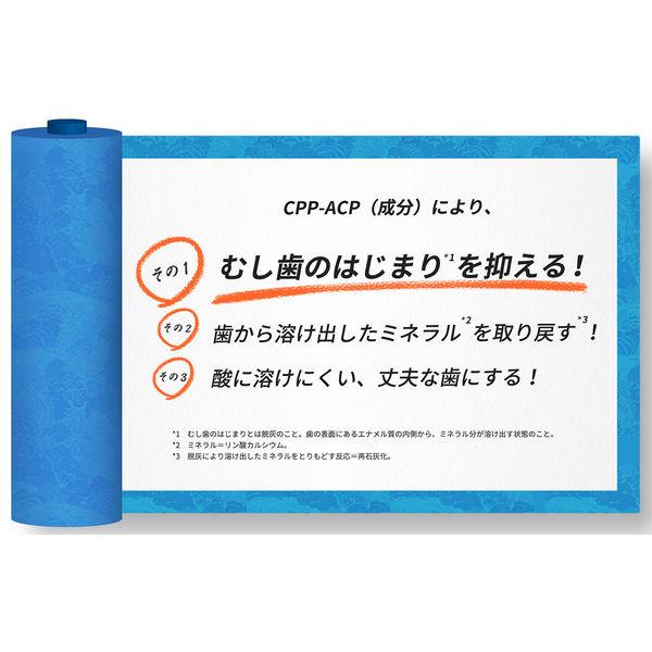 LOHACO - モンデリーズ リカルデントグレープミントガムボトルR