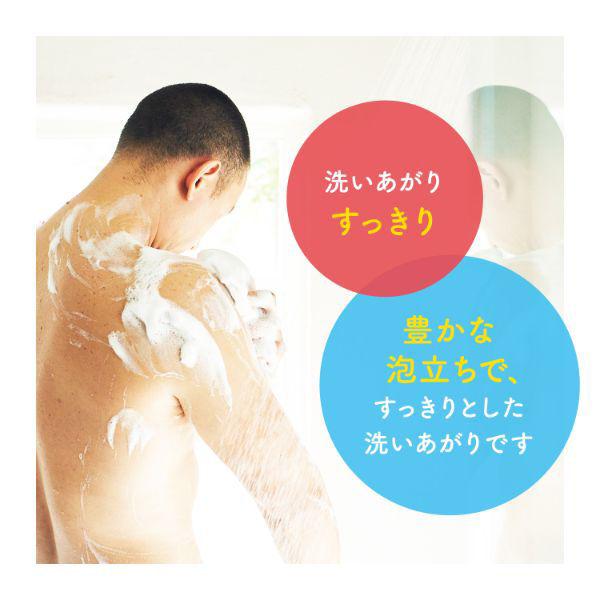 ミューズ 石鹸 レギュラー 95g 1パック(3個入) 固形石鹸 浴用 ミューズ 石鹸 レギュラー 95g 1パック(3個入) 固形石鹸 浴用