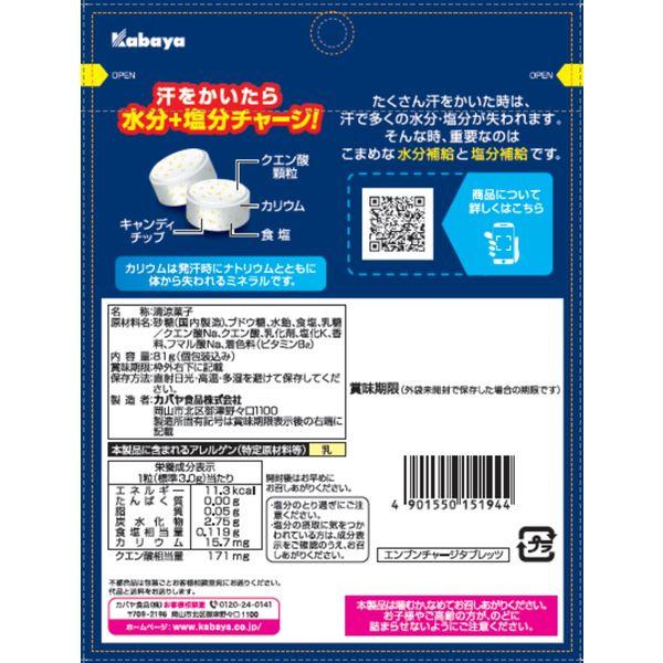 LOHACO - 暑さ対策 塩分チャージタブレッツ 81g 1セット（1個×3）