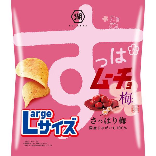 すっぱむ⭐︎ LOHACO - Largeサイズ すっぱムーチョチップス さっぱり梅 1セット（1