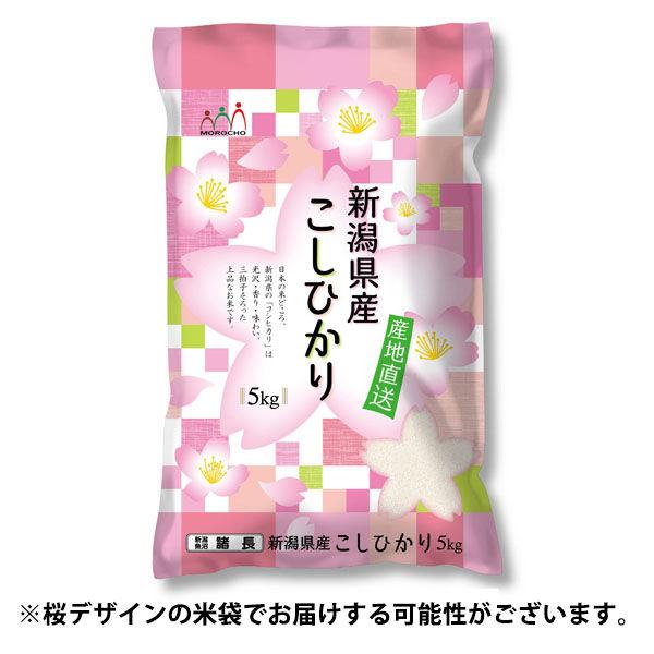 LOHACO - 新潟県産 コシヒカリ 5kg 【精白米】 令和7年産 米 お米