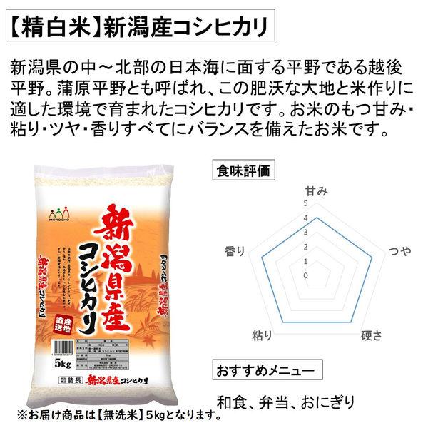 LOHACO - 新潟県産 コシヒカリ 5kg 【無洗米】 令和7年産 米 お米