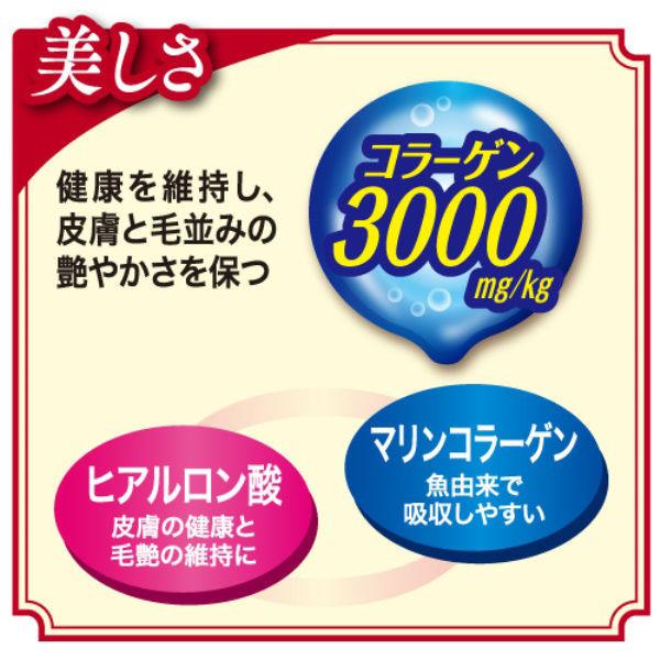 LOHACO - ビューティープロ 1歳からの成猫用 チキン味 国産 1.5kg 日本