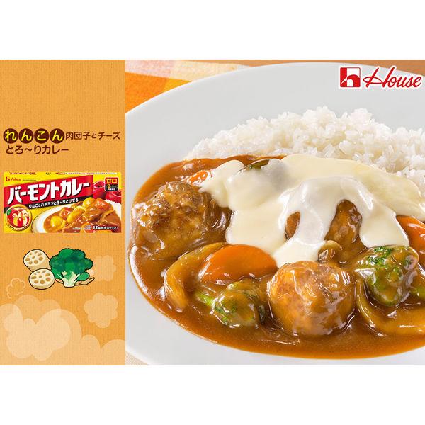 LOHACO - ハウス食品 バーモントカレー 甘口 230g 1個 カレールー