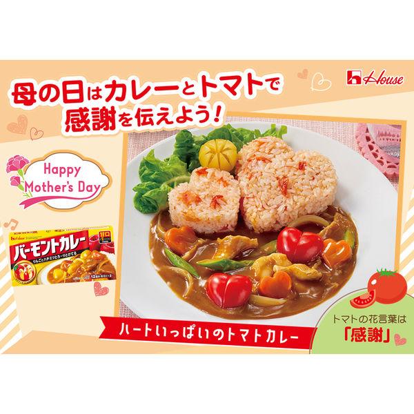 LOHACO - ハウス食品 バーモントカレー 甘口 230g 1個 カレールー