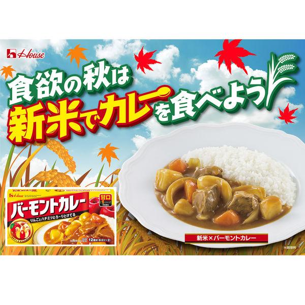 LOHACO - ハウス食品 バーモントカレー 甘口 230g 1個 カレールー