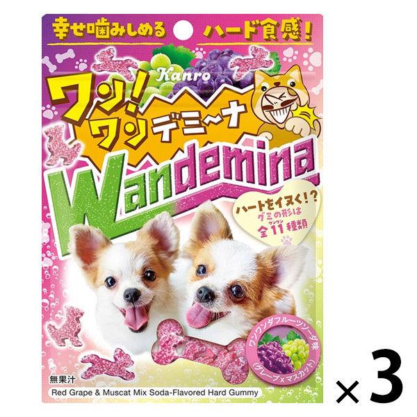 グミ 食べきりサイズ ワンワンデミーナグミ 60g 1セット（1個×3）