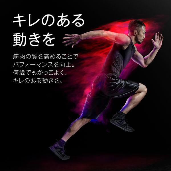 LOHACO - タニタ 体組成計 RD-803L-BK【最新高精度測定】世界初 筋肉の