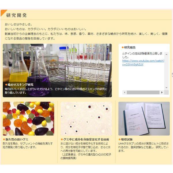 UHAグミサプリ 鉄＆葉酸 1セット（60日分入×2箱） UHA味覚糖 サプリメント