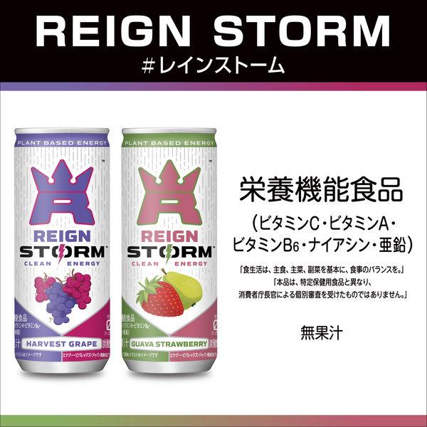 LOHACO - 【ワゴンセール】アサヒ飲料 レインストーム ハーベスト