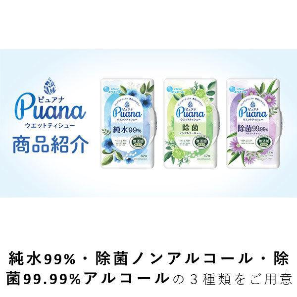 ウェットティシュー 本体 42枚入 エリエール ピュアナ（Puana）除菌99.99 1セット（2個）大王製紙