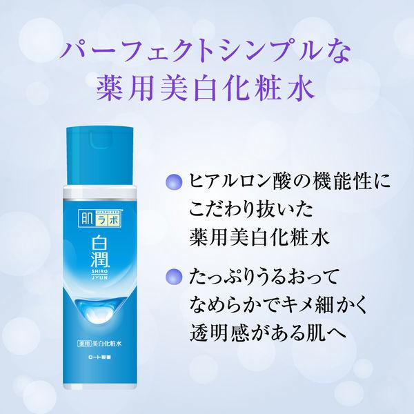 LOHACO - （セール）【はじめてセット】肌ラボ白潤薬用美白化粧水＋乳液