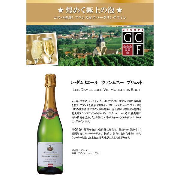LOHACO - レ・ダムリエール ヴァンムスー ブリュット11°750ml 1本