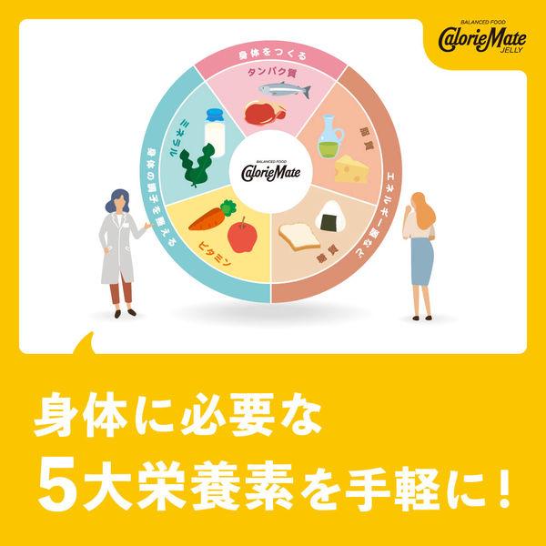 LOHACO - カロリーメイトゼリー 3種アソート（各2個） 1セット(1個
