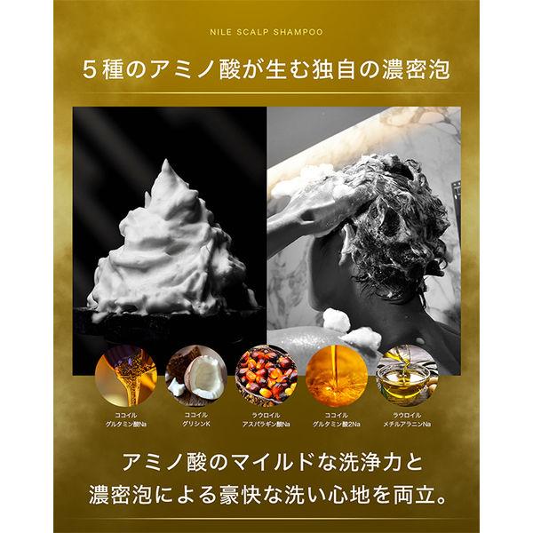 NILE（ナイル） メンズ 濃密泡スカルプシャンプー ラフランス ポンプ 