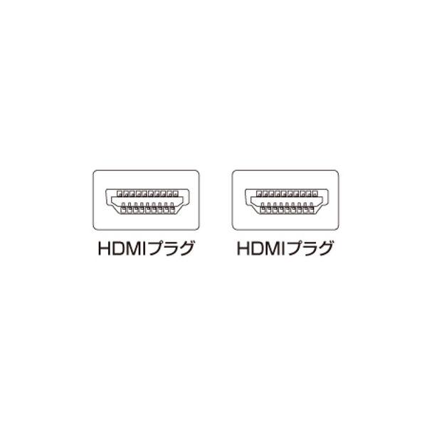 サンワサプライ HDMIケーブル KM-HD20-10 1本