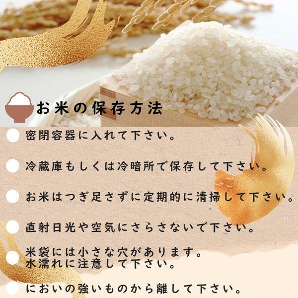 LOHACO - 【アウトレット】【新米切替特価】北海道産ゆめぴりか 無洗米