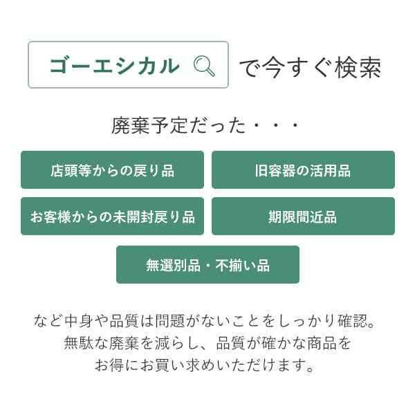 【アウトレット】【Goエシカル】パーフェクトワン SPロングキープパウダーファンデケースa 1個 新日本製薬