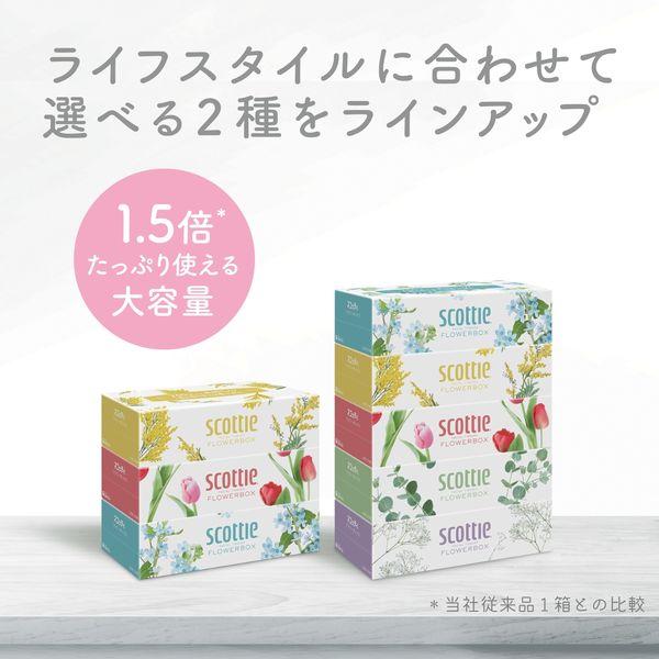 LOHACO - ティッシュペーパー スコッティ ティシュー 250組（5箱入