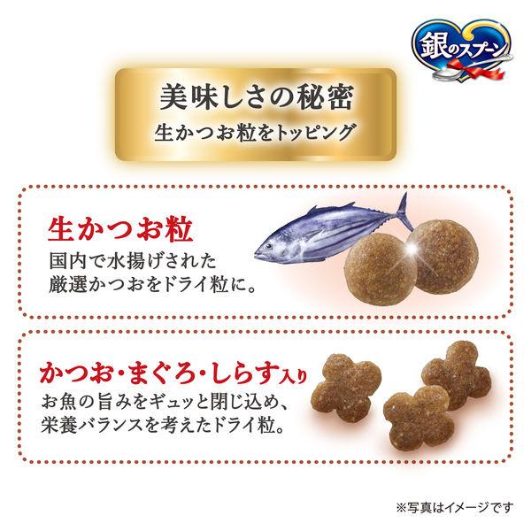 銀のスプーン 国産生かつおin 食事の吐き戻し軽減フード 海の幸ブレンド 1kg（小分け3袋）6袋 キャットフード ドライ