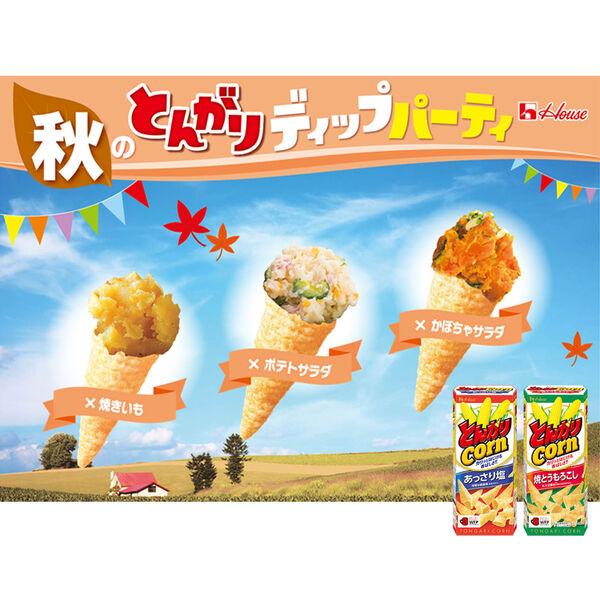 LOHACO - とんがりコーン あっさり塩 62g 1セット（1箱×3） ハウス食品