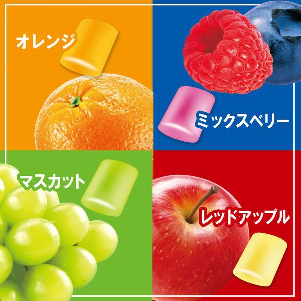 LOHACO - クロレッツXP シーズンアソートボトルR 140g 1個